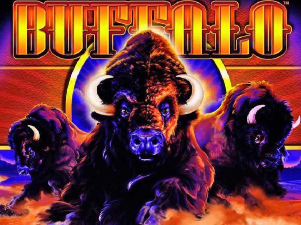 Buffalo Slot Review