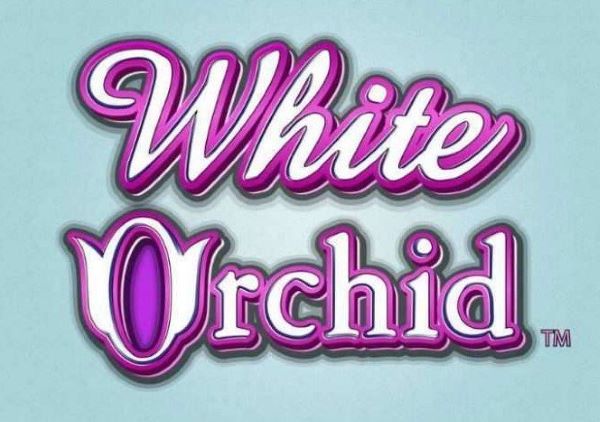 White Orchid Slot Review
